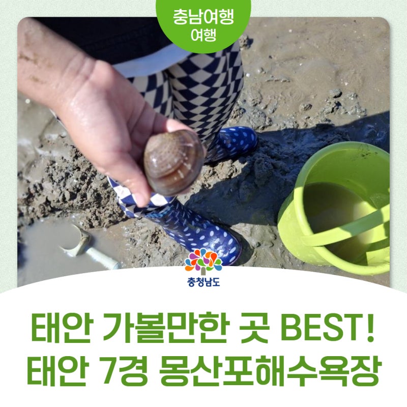 10월 9~10일 태안이 들썩인다! 몽산포 해변 힐링페스티벌 개최