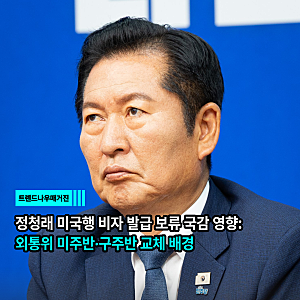 정청래 미국행 비자 발급 보류 국감 영향: 외통위 미주반·구주반 교체 배경