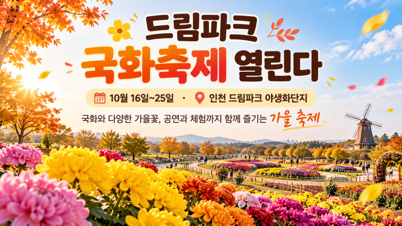인천 10월 가볼만한곳, 국화·코스모스·해바라기가 한곳에! 2026 드림파크 국화축제 총정리