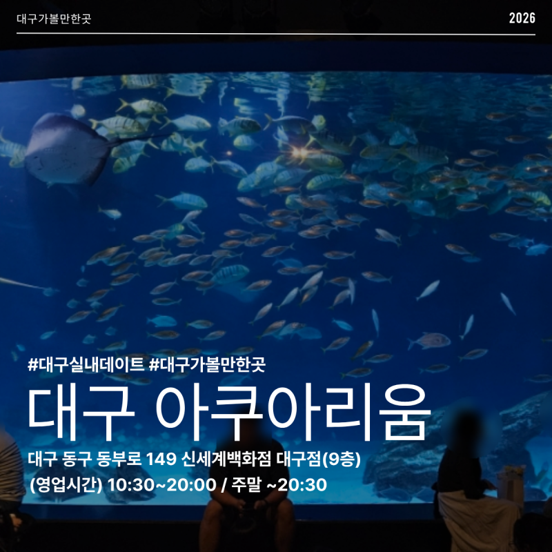 대구 신세계 아쿠아리움 공연 시간 먹이주기 체험 후기 아이랑 가볼만한 곳 대구 실내데이트....