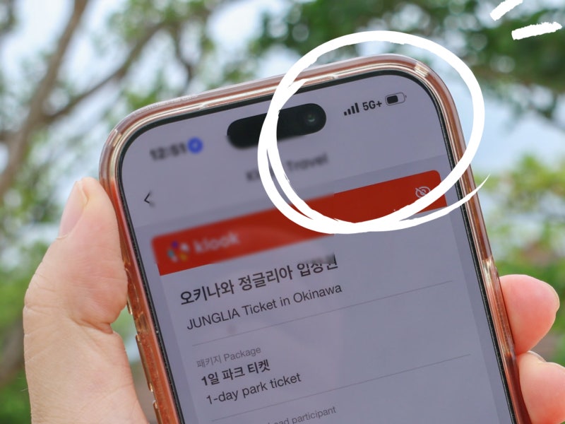 일본 esim 도쿄 이심 오키나와 말톡 무제한