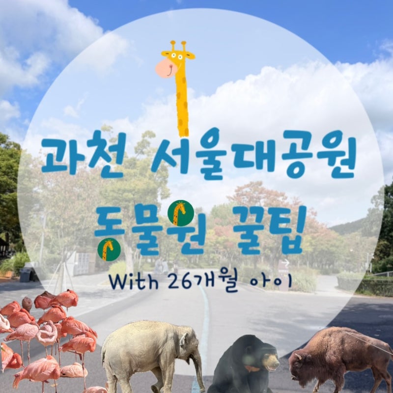 과천 서울대공원 동물원 아이와 함께 하며 직접 경험하고 느낀 꿀팁