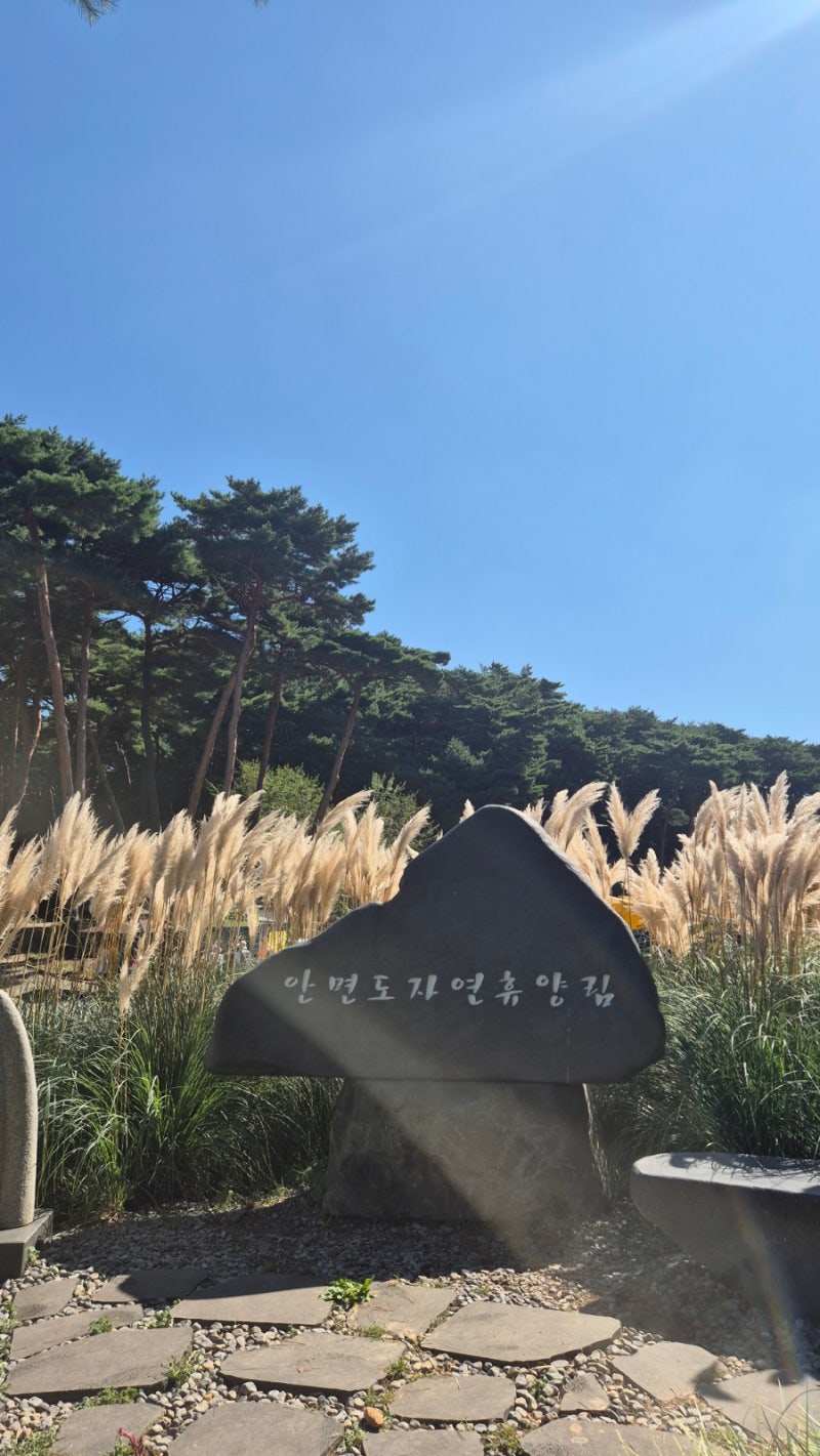 충남여행, 충남가볼만한곳, 태안반도여행관광, 태안반도가볼만한곳, 태안반도안면도여행,안....
