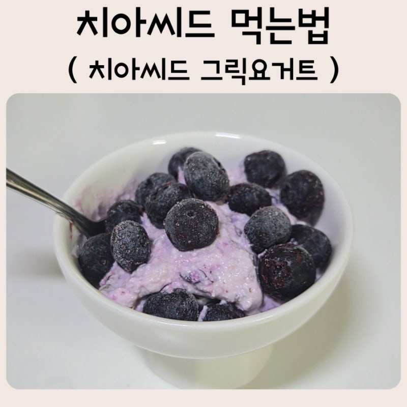 치아씨드 먹는법｜블루베리 그릭요거트 치아푸딩 만들기, 간단한 아침메뉴