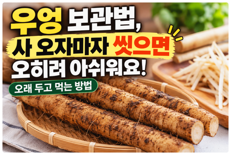 우엉 보관법, 사 오자마자 씻으면 오히려 아쉬워요! 오래 두고 먹는 방법