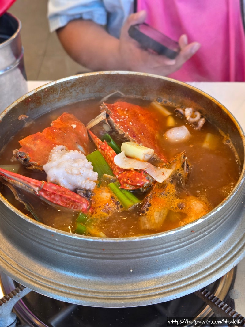 [충남 보령 맛집 / 보령 해물뚝배기 맛집] 대천해수욕장 해물뚝배기 맛집 대천본가 해물뚝배....