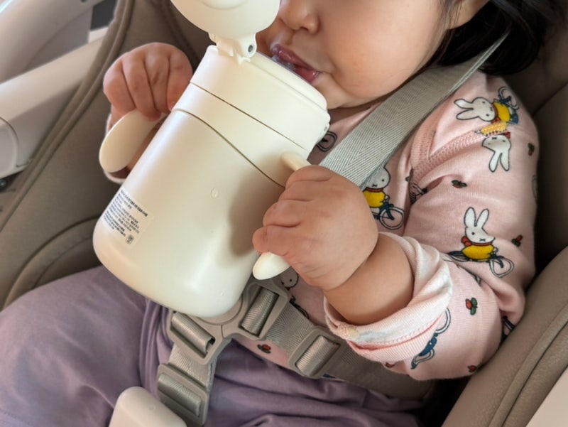 아기빨대컵 추천 보아르 아가듀 스테인리스 빨대컵 280ml 흘림방지 유아 아기 보온병 물병 텀....
