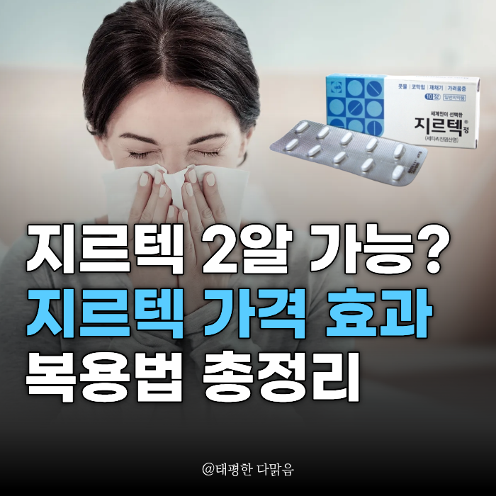 지르텍 2알 복용법 가능? 지르텍 가격부터 효과 부작용 총정리