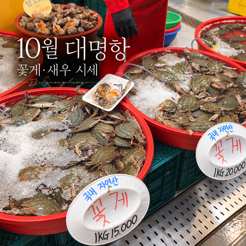 2026년 10월 김포 대명항 꽃게 새우 시세｜제철 해산물 가격·추천 매장 총정리