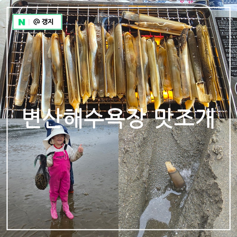 부안 가볼만한곳 변산해수욕장 맛조개 조개잡이 무료 갯벌체험 물때, 잡는법, 먹는법