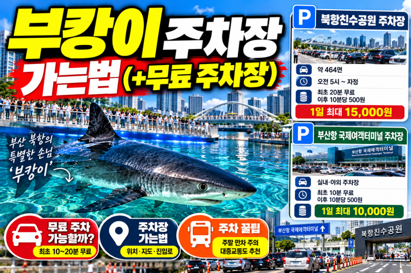 부캉이 주차장 가는 법｜무료 주차 가능할까? 북항친수공원 주차요금·주차 꿀팁 총정리