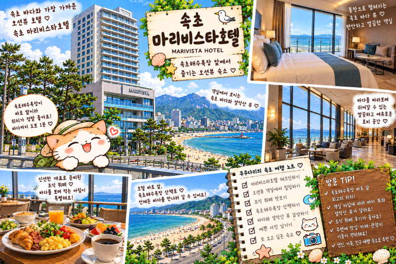 속초마리비스타호텔-가성비와 룸 컨디션을 모두 잡은 호텔