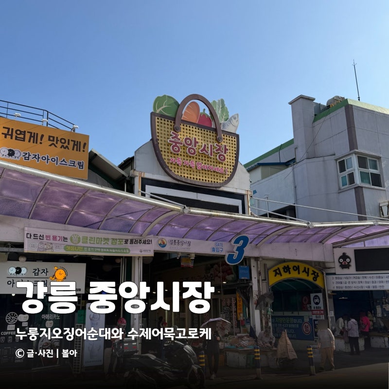 [강릉 가볼만한 곳] 강릉 중앙시장 먹거리 골목・오징어순대・월화거리 구경 후기