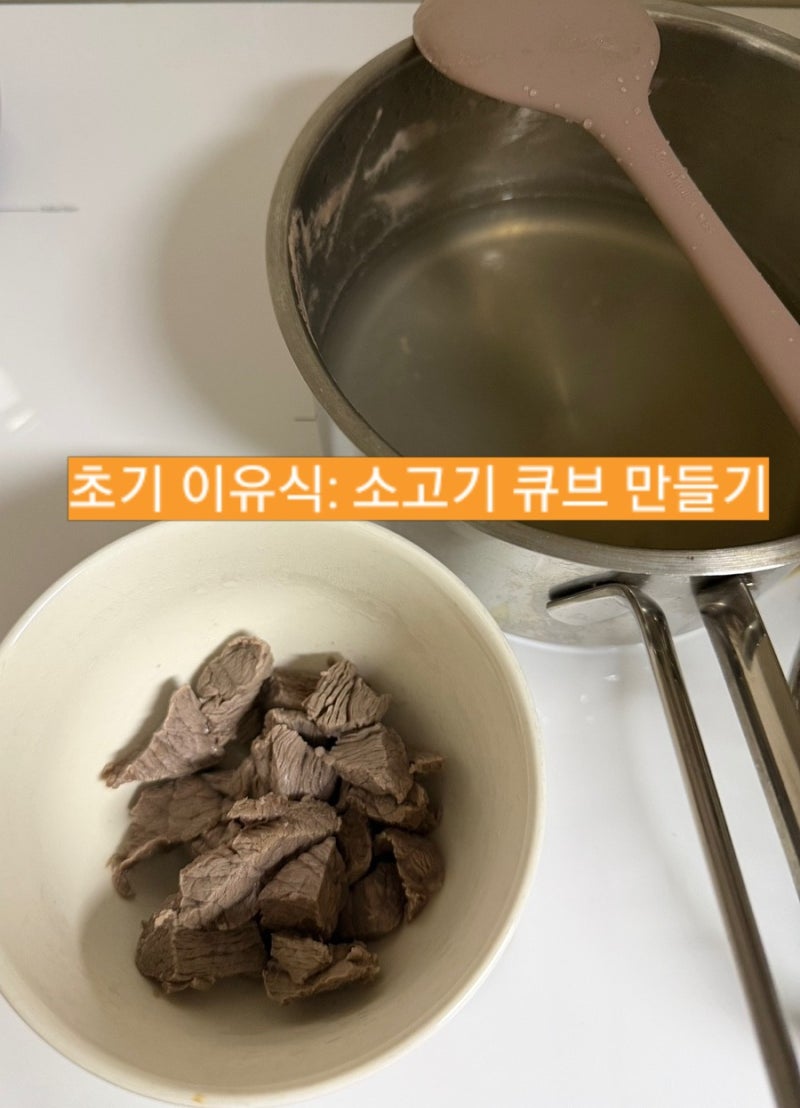 초기 이유식 만들기 | 소고기 큐브 | 초기 이유식 적응기(이유식이 강아지 화식이 된 사연,,)