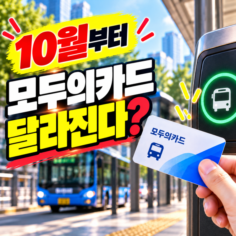 모두의카드 환급 10월부터 뭐가 달라질까? 반값 종료와 12월 연장 혜택 정리