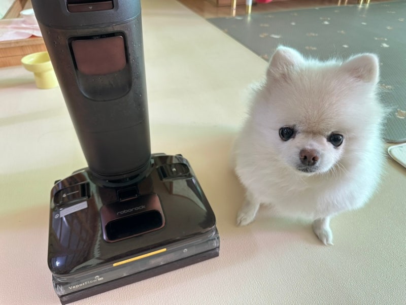 로보락 무선 스팀 습건식 청소기 추천 F25 Ultra Steam Gen2 | 반려동물 털 청소