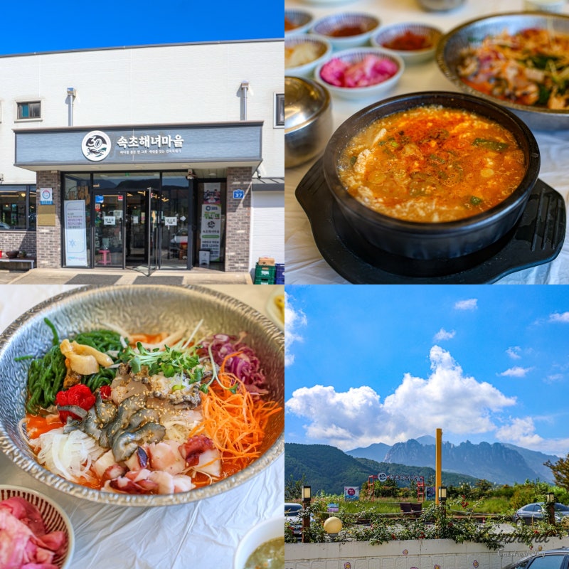 강원도 속초 맛집 물회 애견동반식당 아침식사 순두부 추천