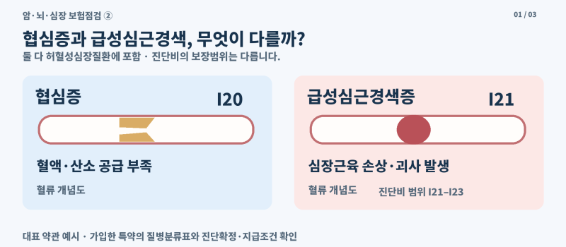 급성심근경색·허혈성심장질환 차이, 협심증도 보장될까? -암·뇌·심장 보험점검 ②
