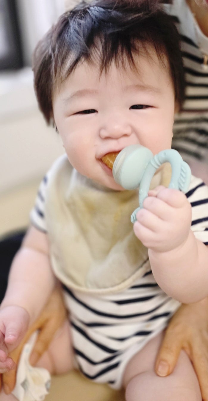 7개월 아기 과즙망, 글라스락 베이비 실리콘 과즙망 써본 후기