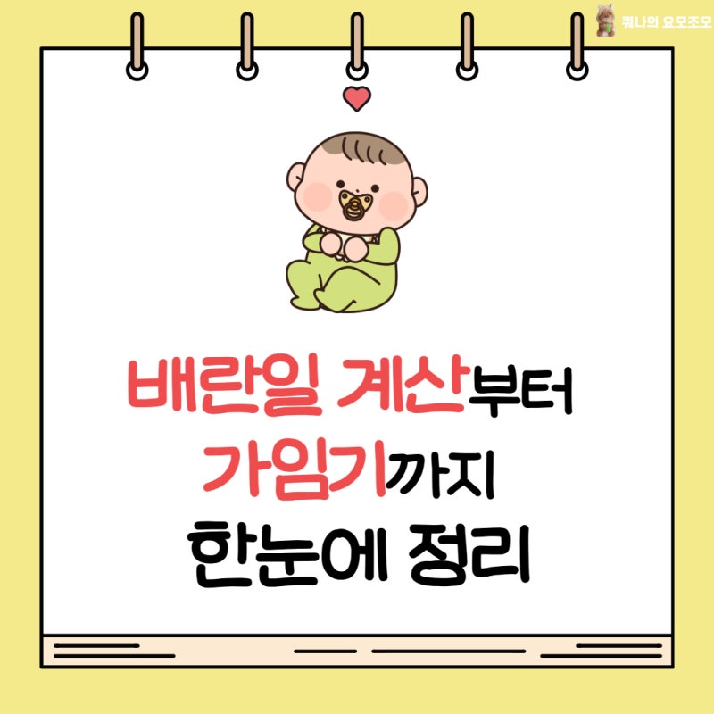 임신 준비 배란일 계산 방법｜가임기 날짜와 배란테스트기 사용법