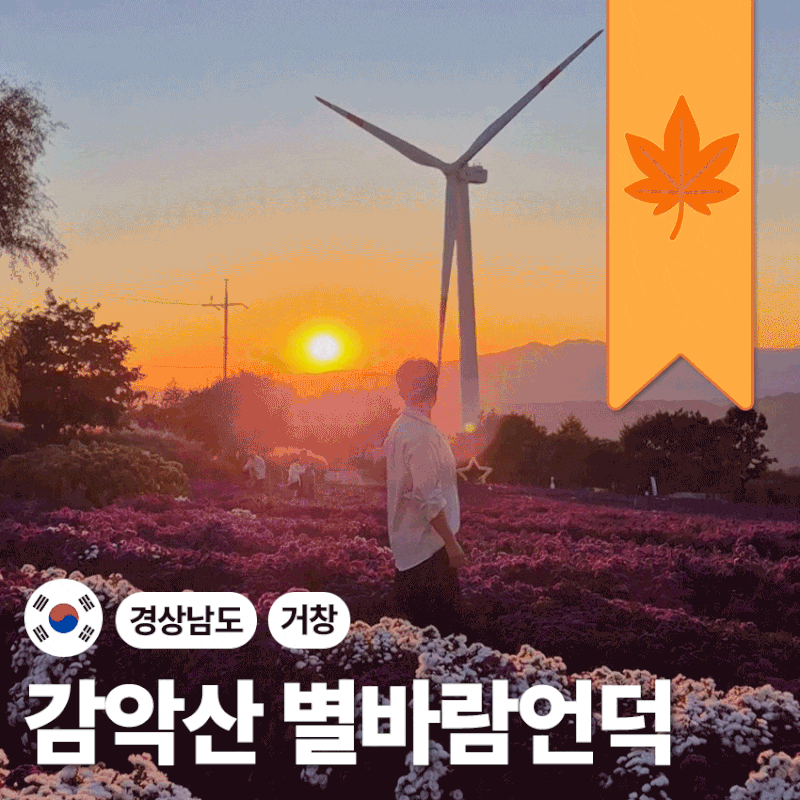 " 늦었을까..?? NO! "감악산 아스타국화 거창 여행 셔틀버스 후기
