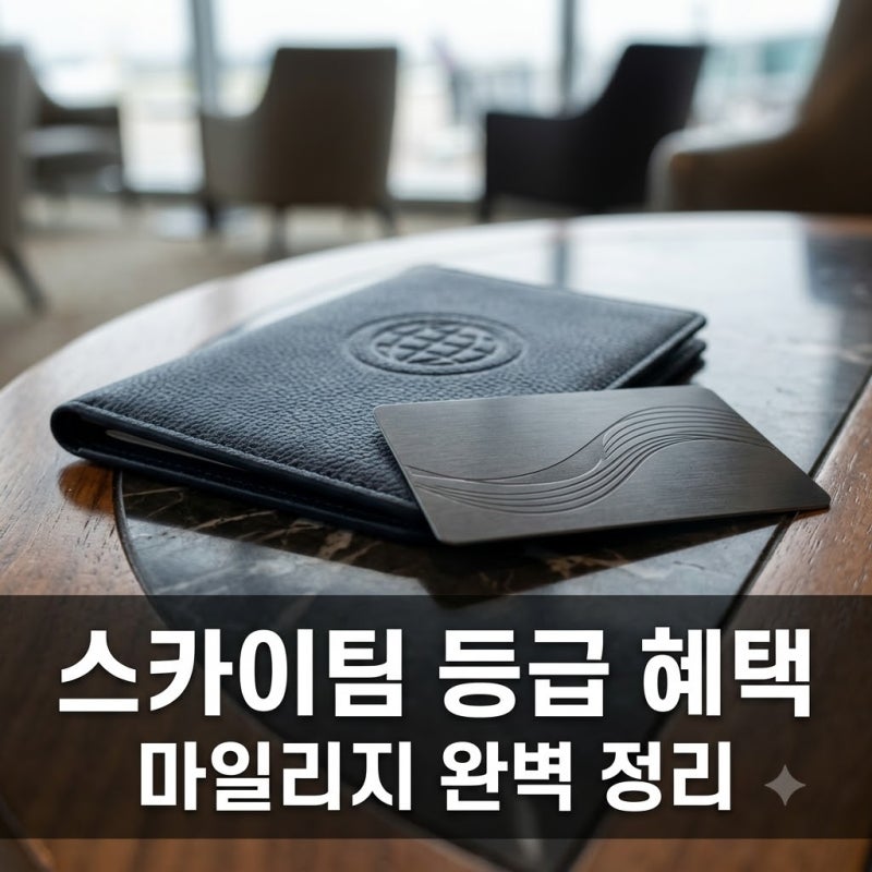 스카이팀 항공사 마일리지 등급 혜택 정리 모닝캄 라운지 수하물 총정리