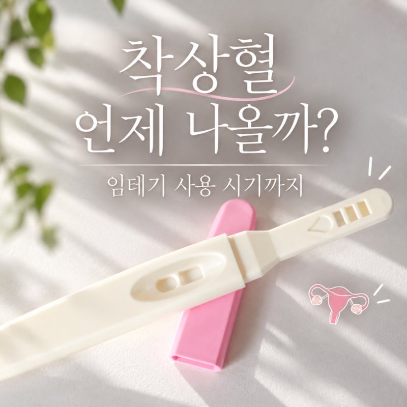 착상혈 언제 나올까? 임테기 사용 시기까지