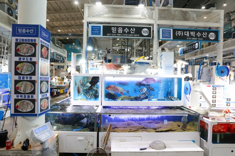 수원농수산물시장 믿음수산ㅣ수원대하 구매하기 좋은 곳