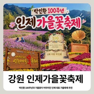 인제가을꽃축제 후기 주차부터 아이 체험까지 기대 이상이었던 인제 여행