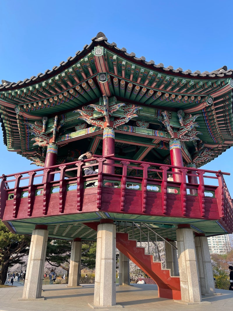 일산호수공원 달맞이섬 야간 산책 새 단장｜가을 밤 월파정 고사분수 야경, 지금 가볼 만한 ....