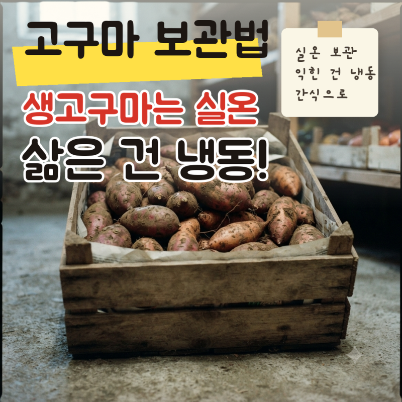 고구마 보관법, 생고구마 실온 보관부터 삶은 고구마 냉동까지 다이어트 간식으로 두고 먹는....