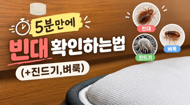 우리 집에 빈대가 있는지 5분 만에 확인하는 방법(+진드기, 벼룩)