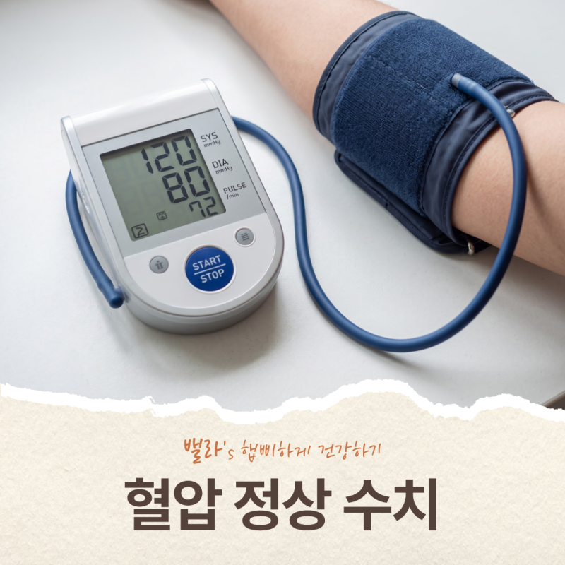 혈압 정상 수치, 나이·성별 따라 다를까? 2026 진료지침 기준