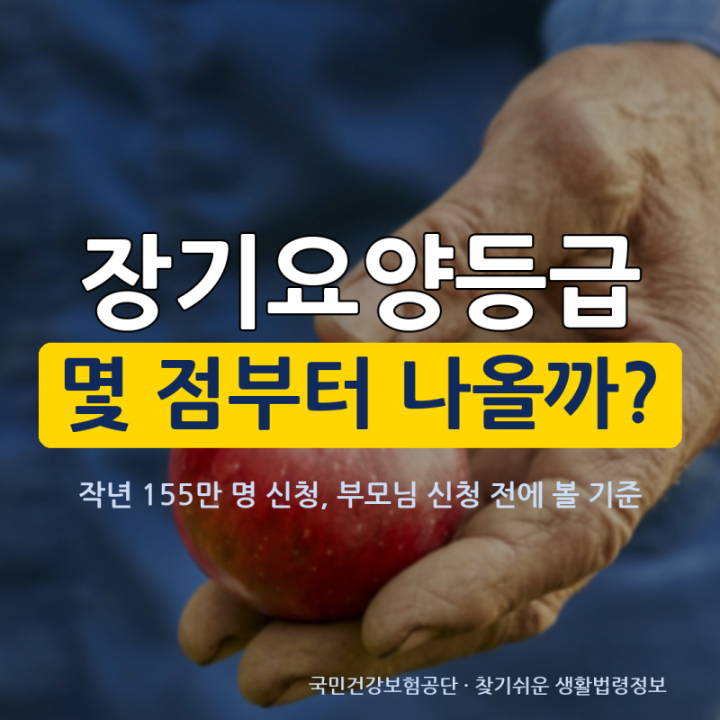장기요양등급 신청, 작년 155만명 몰렸는데 부모님은 몇 점부터 될까?