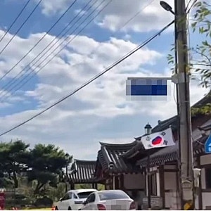 "전봇대에 걸린 태극기, 왜 카페 주인이 욕먹을까?" — 김규리 카페 논란의 전말과 팩트 체크