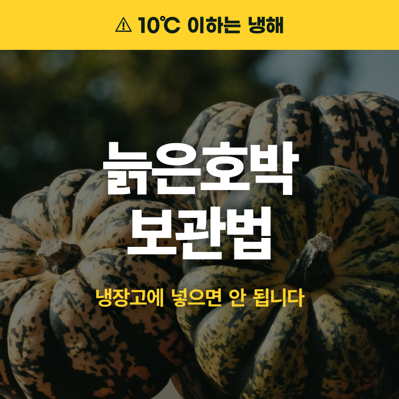 늙은호박 보관법, 자르기 전과 후가 다릅니다