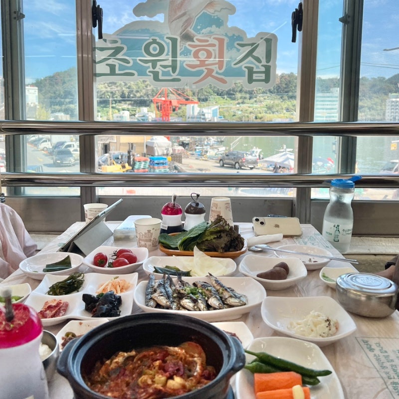 부산 대변항 횟집추천 기장 멸치회 맛집 초원횟집