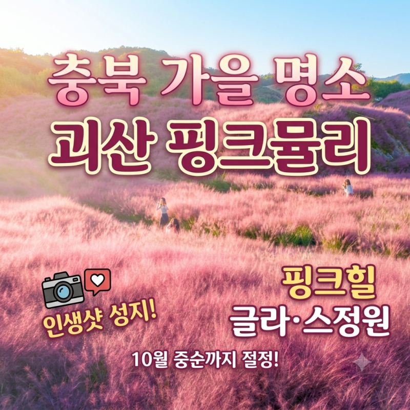 충북 여행" 괴산 핑크힐 글라스정원 핑크뮬리 절정 시기와 위치 정리