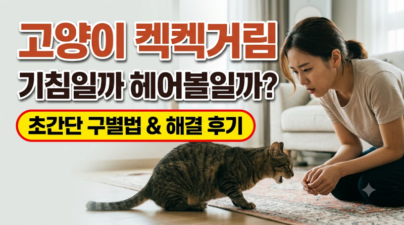 고양이 켁켁거림, 천식 기침과 헤어볼 구별하는 가장 확실한 기준