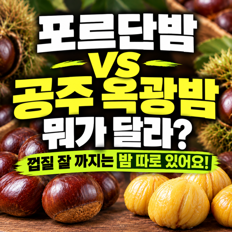 포르단밤이랑 공주 옥광밤 뭐가 달라? 껍질 잘 까지는 칼집 군밤용은 따로 있어요