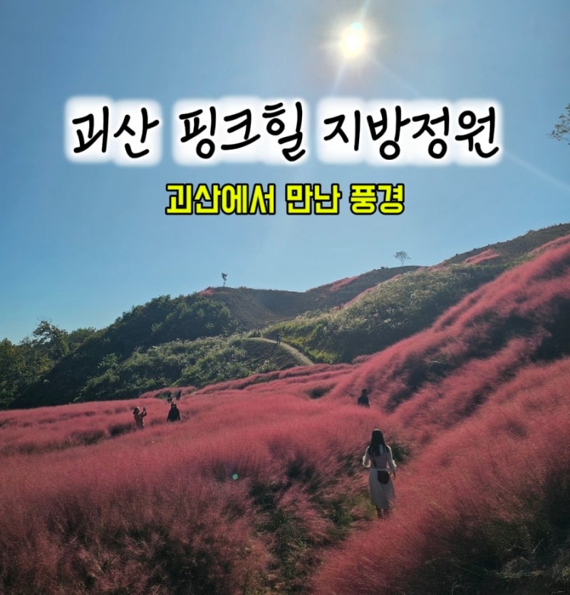 괴산 핑크뮬리, 괴산 핑크힐 지방정원( 핑크힐 글라스정원 ) 직접 가본 솔직후기