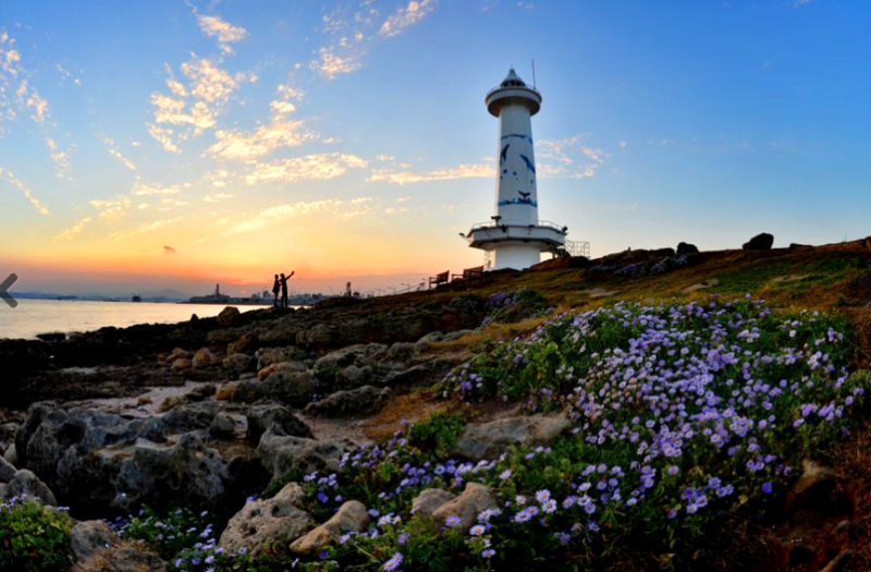 울산여행추천 대왕암공원 가볼 만한 곳｜출렁다리·일산해수욕장·슬도까지 당일치기 여행
