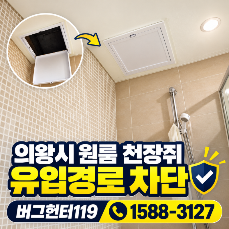 의왕시 원룸주택 천장쥐 퇴치와 유입경로 차단 전문업체!!! 버그헌터119 (상담 문의 1588-3127)
