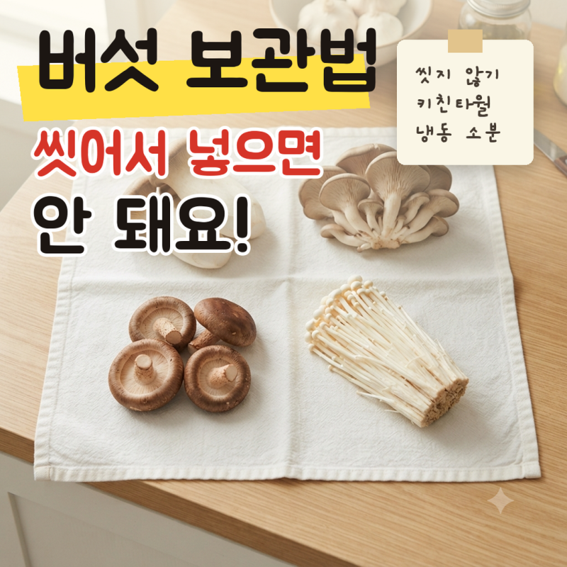 버섯 보관법, 씻어서 넣어도 될까? 새송이 느타리 팽이 종류별 냉장 냉동과 다이어트 식단 활....