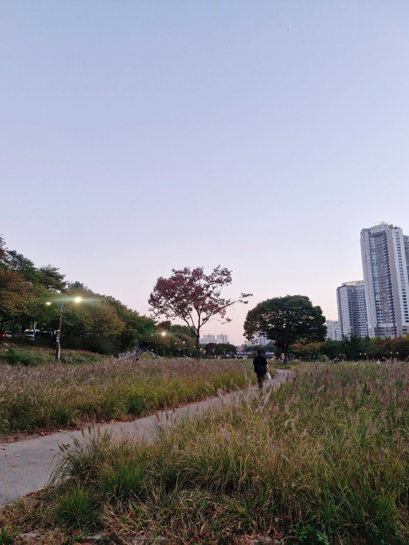 정자 데이트｜세라젬 웰라운지 무료체험부터 카산도 돈카츠까지