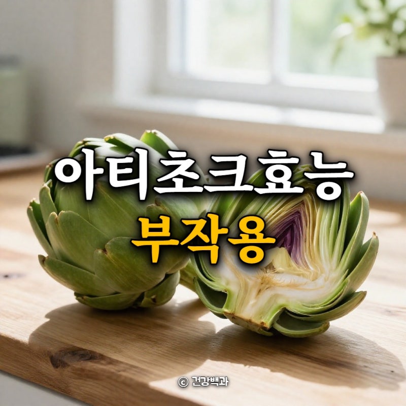 아티초크 효능과 부작용, 올바른 먹는법과 주의할 점