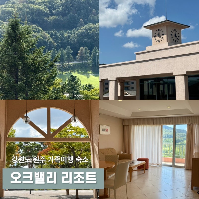 [강원도 원주] "오크밸리 리조트" 밸리빌리지에서의 1박, 만족도는? (넓은 객실과 초록 숲뷰)