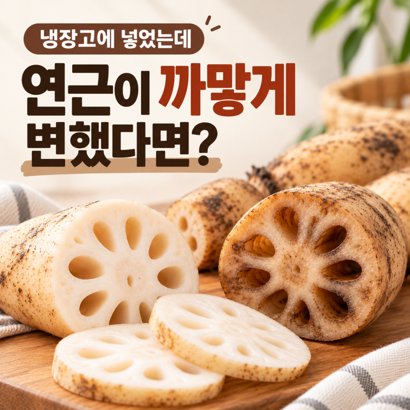 연근 보관법, 씻어서 냉장고에 넣으면 안 될까? 냉장·냉동 정리
