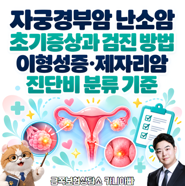 자궁경부암 난소암 초기증상과 검진 방법, 이형성증 제자리암 진단비 분류 기준