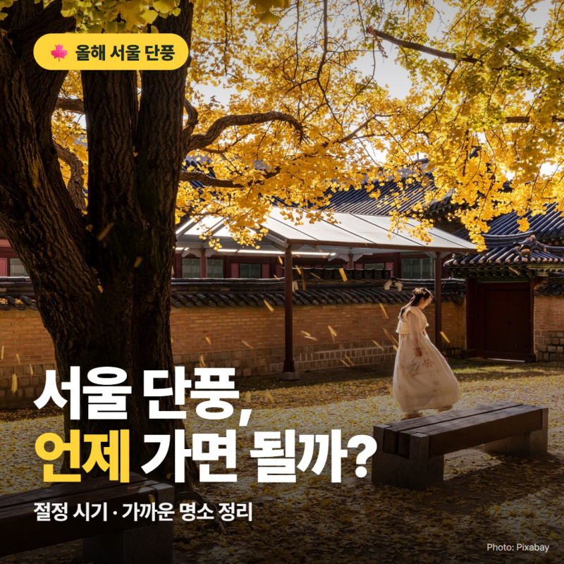 올해 서울 단풍 절정 언제? 10월 하순~11월 초 + 가까운 서울 단풍 명소 7곳